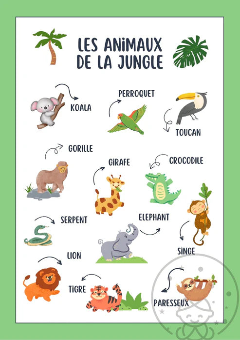 Imagier des Animaux de la Jungle 🦁🌿