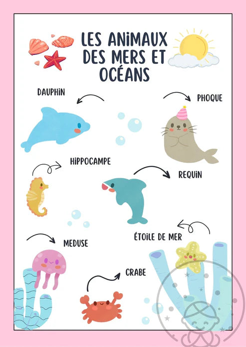 Imagier des Animaux de la Mer 🐙🐠